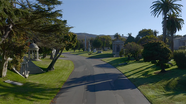 Commercial Case Study Cypress Sideimage3 608X341