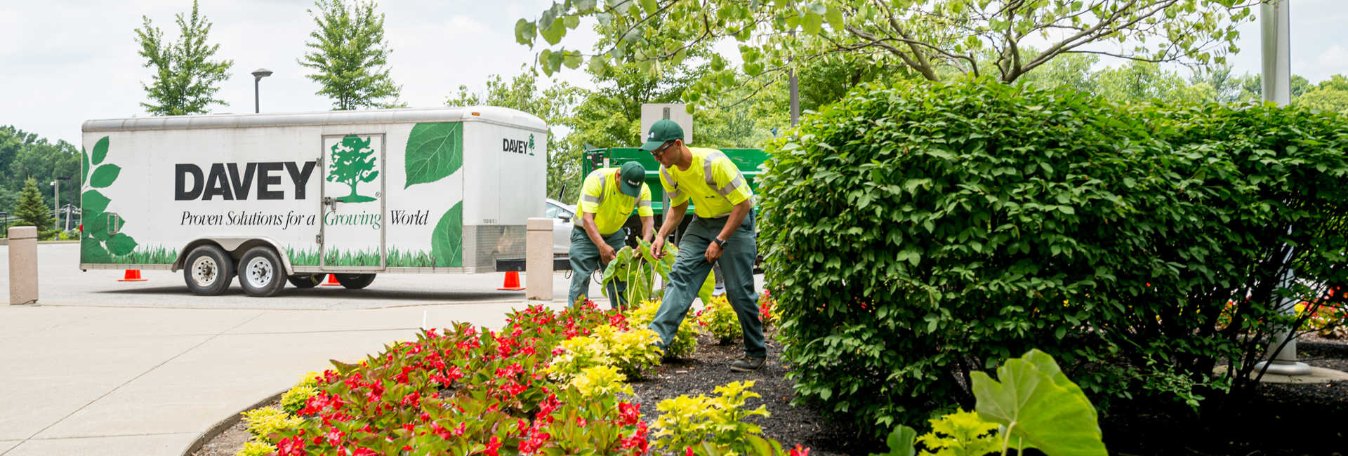 Commercial Landscape Design