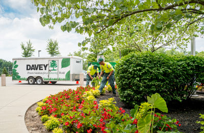 Commercial Landscape Design