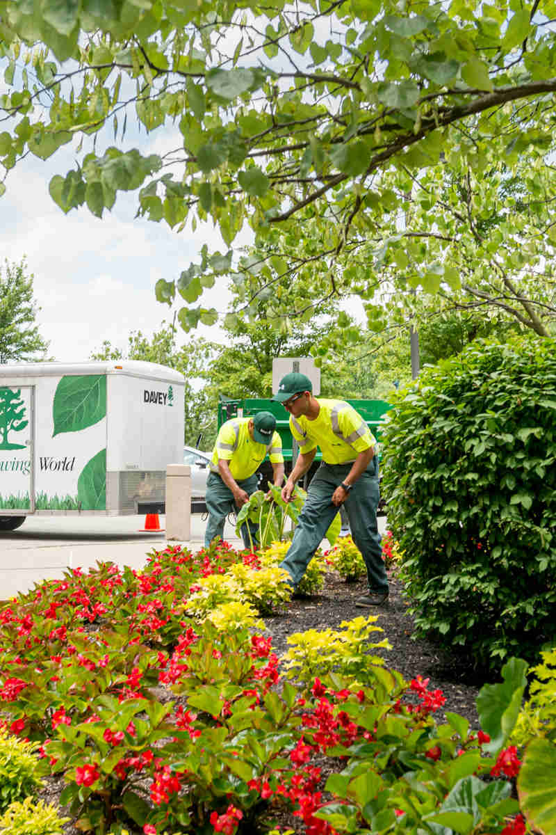 Commercial Landscape Design