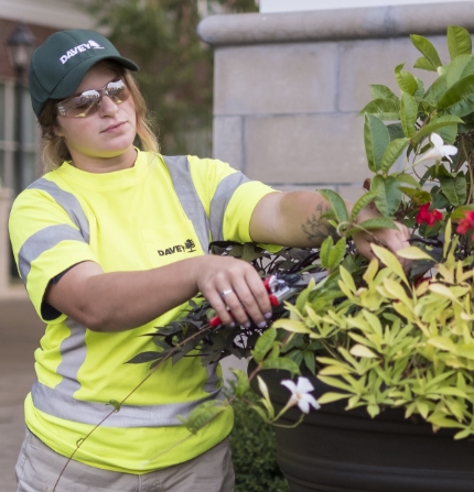 Professional Tree Services by Davey Certified Arborists