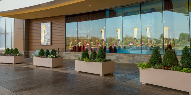 Rocksino Banner 1440X500