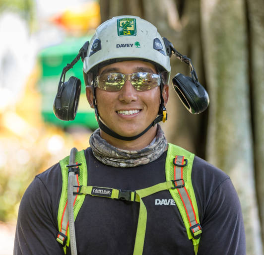 Certified Arborist Tree Care