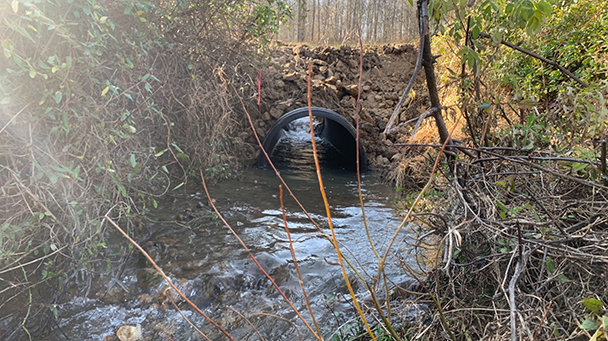 Utility Css Northeast Us Utility Baltimore Gas Electric Sideimage3 608X341