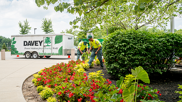 Commercial Css Trihealth Sideimage6 608X341