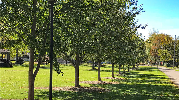 Project Profiles Van Buren Sideimage 608X341