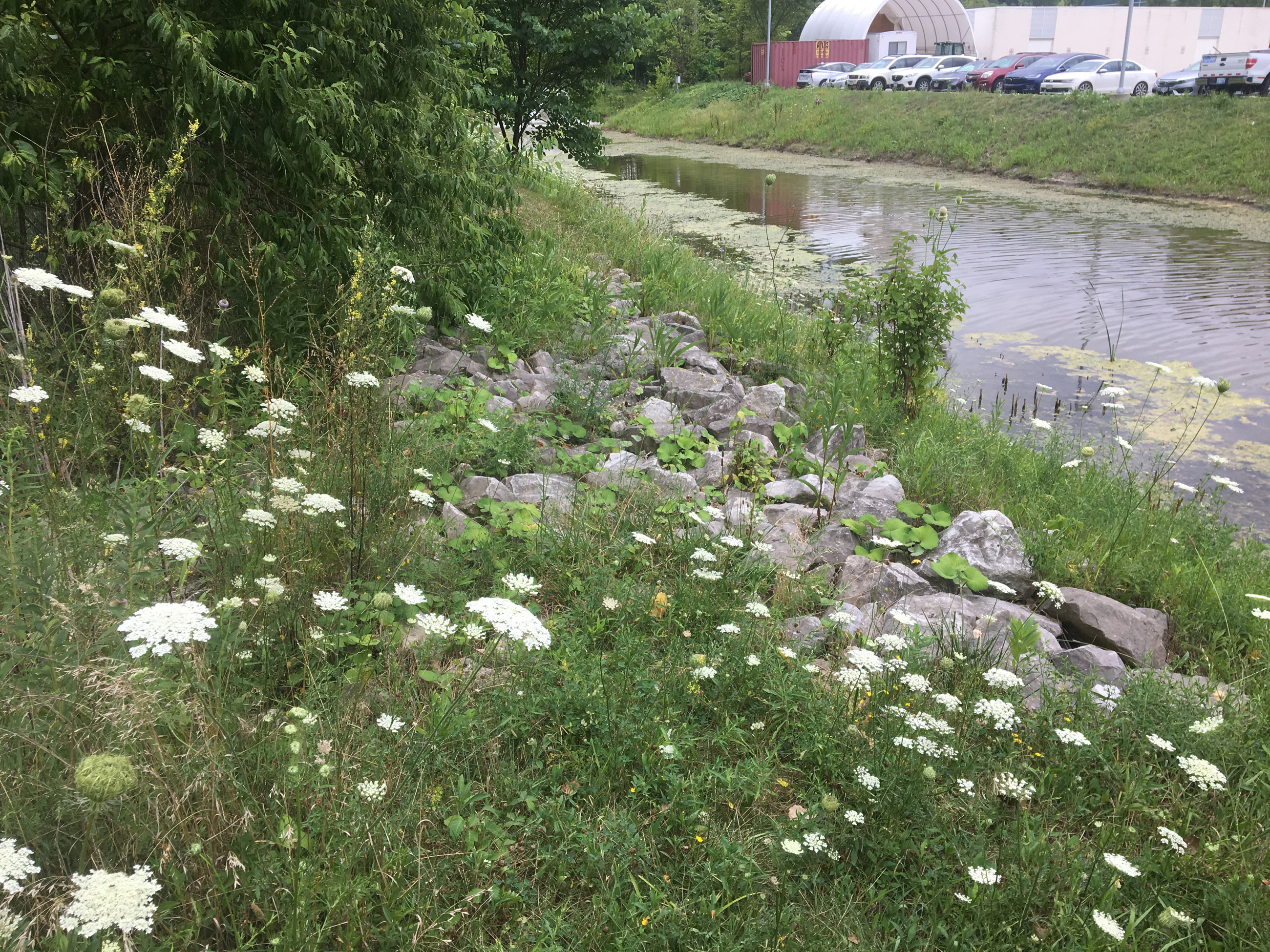 Avonstormwaterbasin Projprofile 1