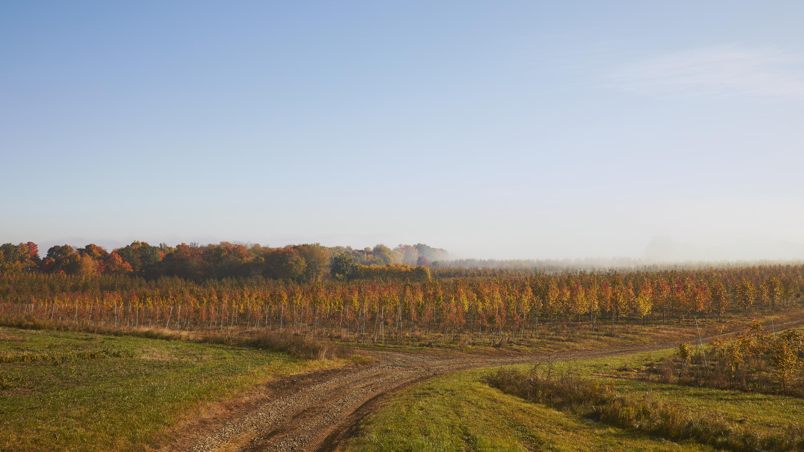 028A0920 8001X4501 99F406a