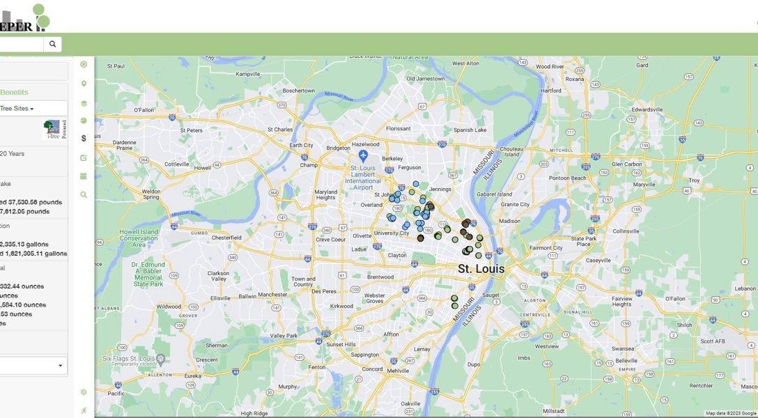 Urban & Community Forestry Services in St. Louis, MO | Davey Tree