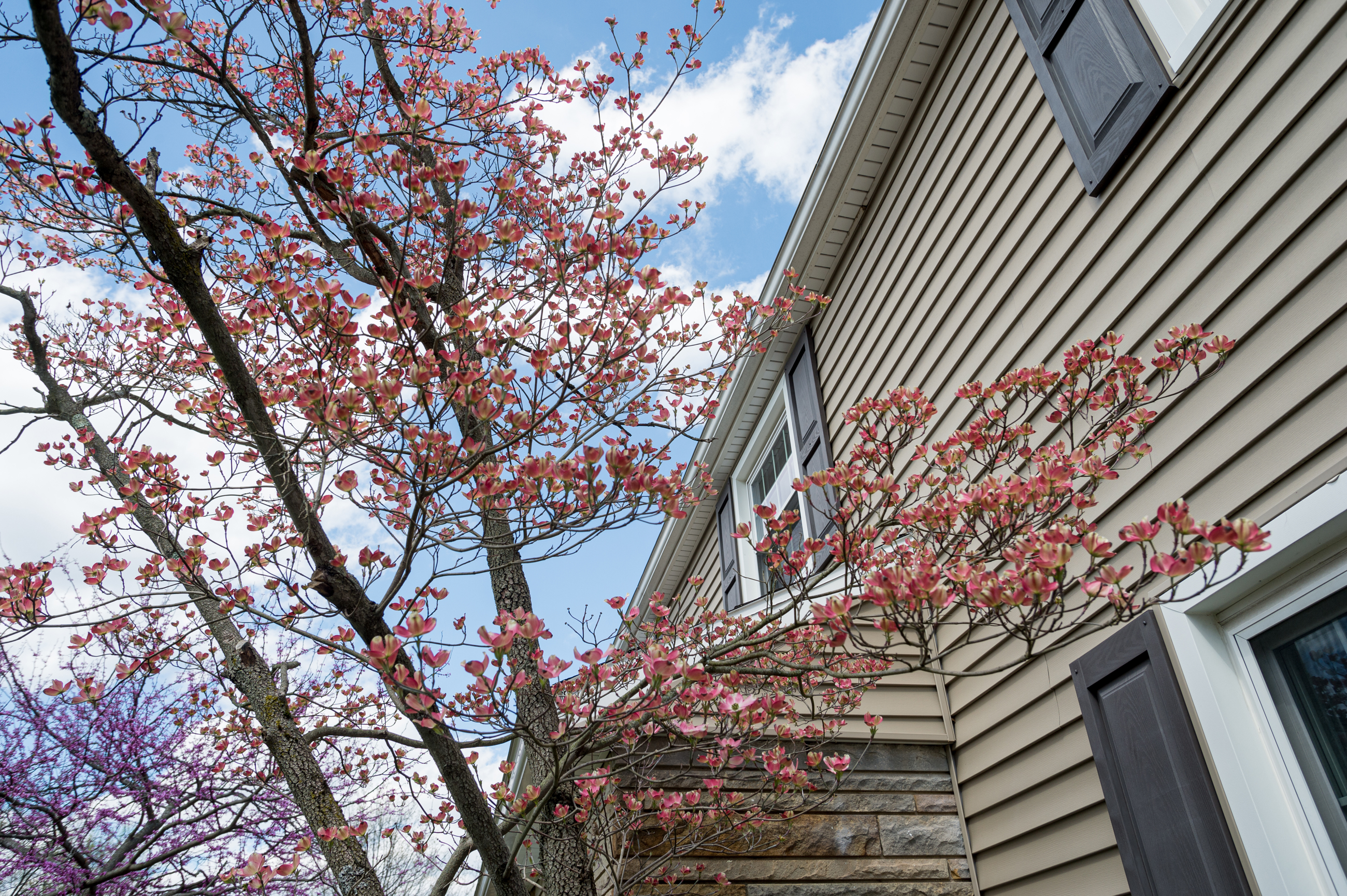 DSC 3634 4928X3280 E35ca0b (2)