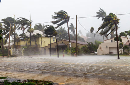 Hurricane Damage