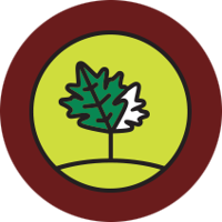 Icon Sustainableenvironment