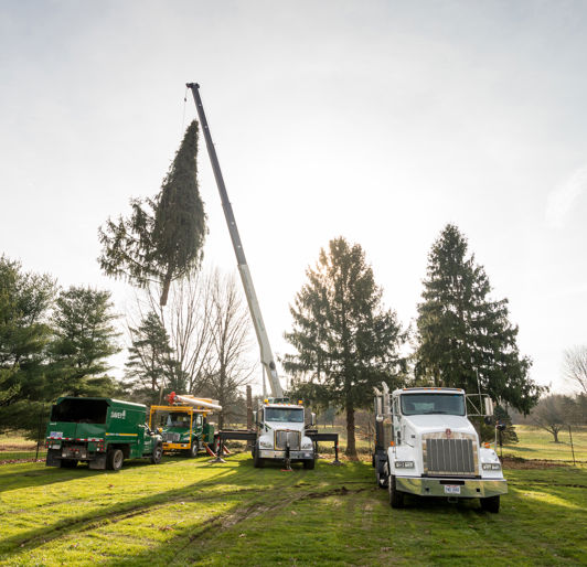 Environmental Design, Inc.