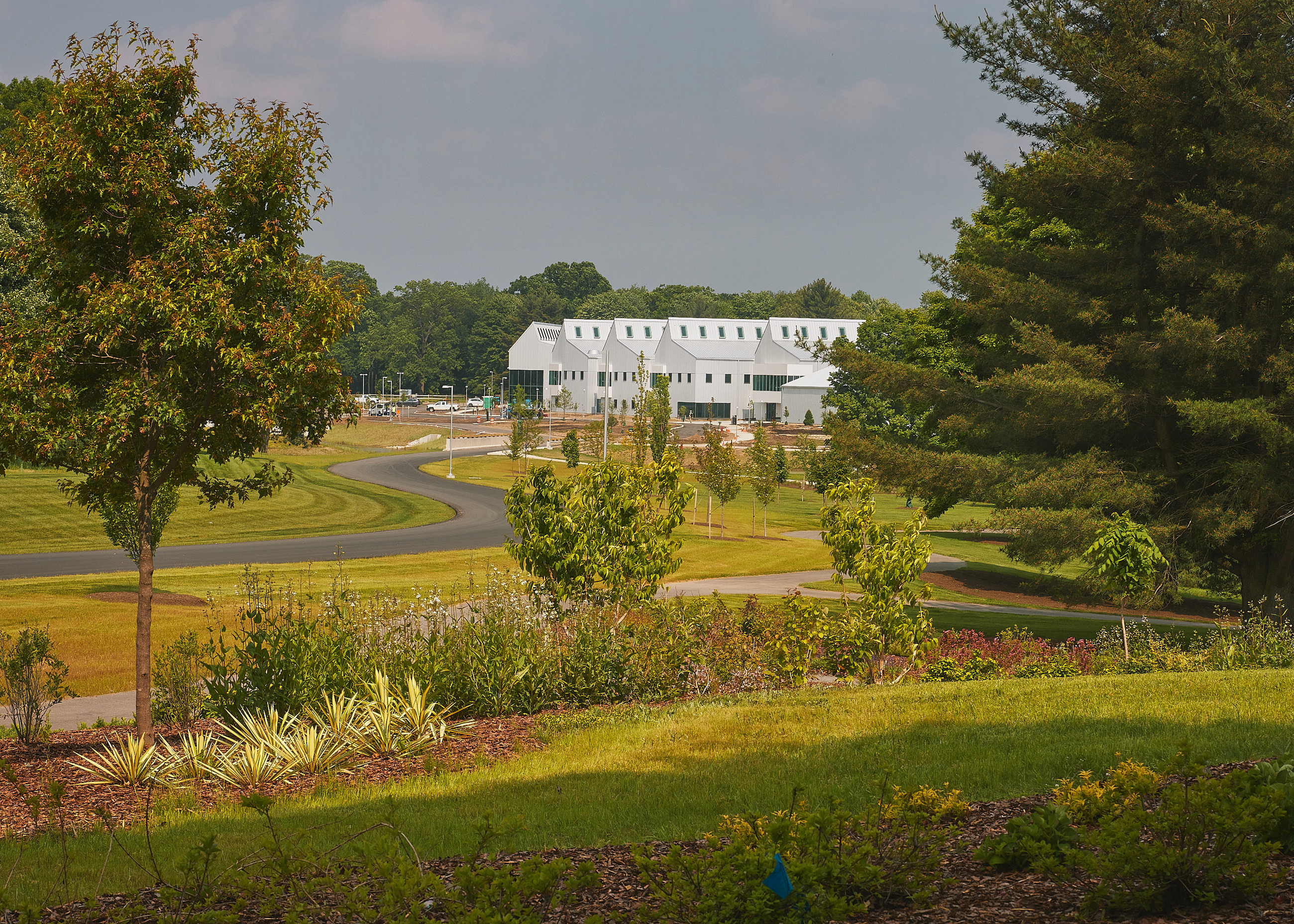 DI 5299 2688X1920 1E5b067