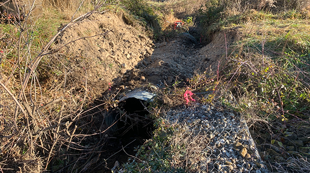 Utility Css Northeast Us Utility Baltimore Gas Electric Sideimage2 608X341