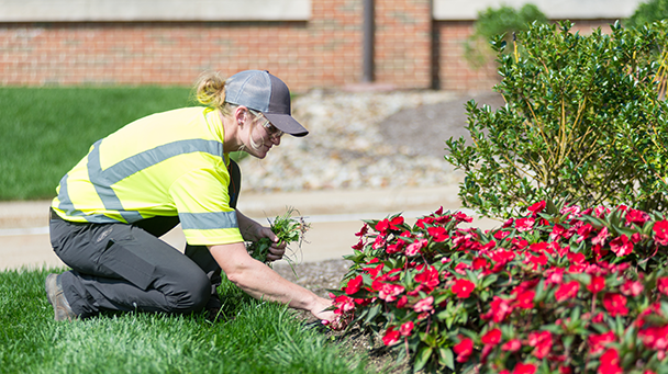 Commercial Blog 3 Steps To Creating A 5 Year Landscape Plan Sideimage2 608X341