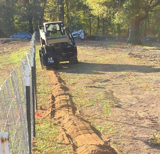 Root Pruning