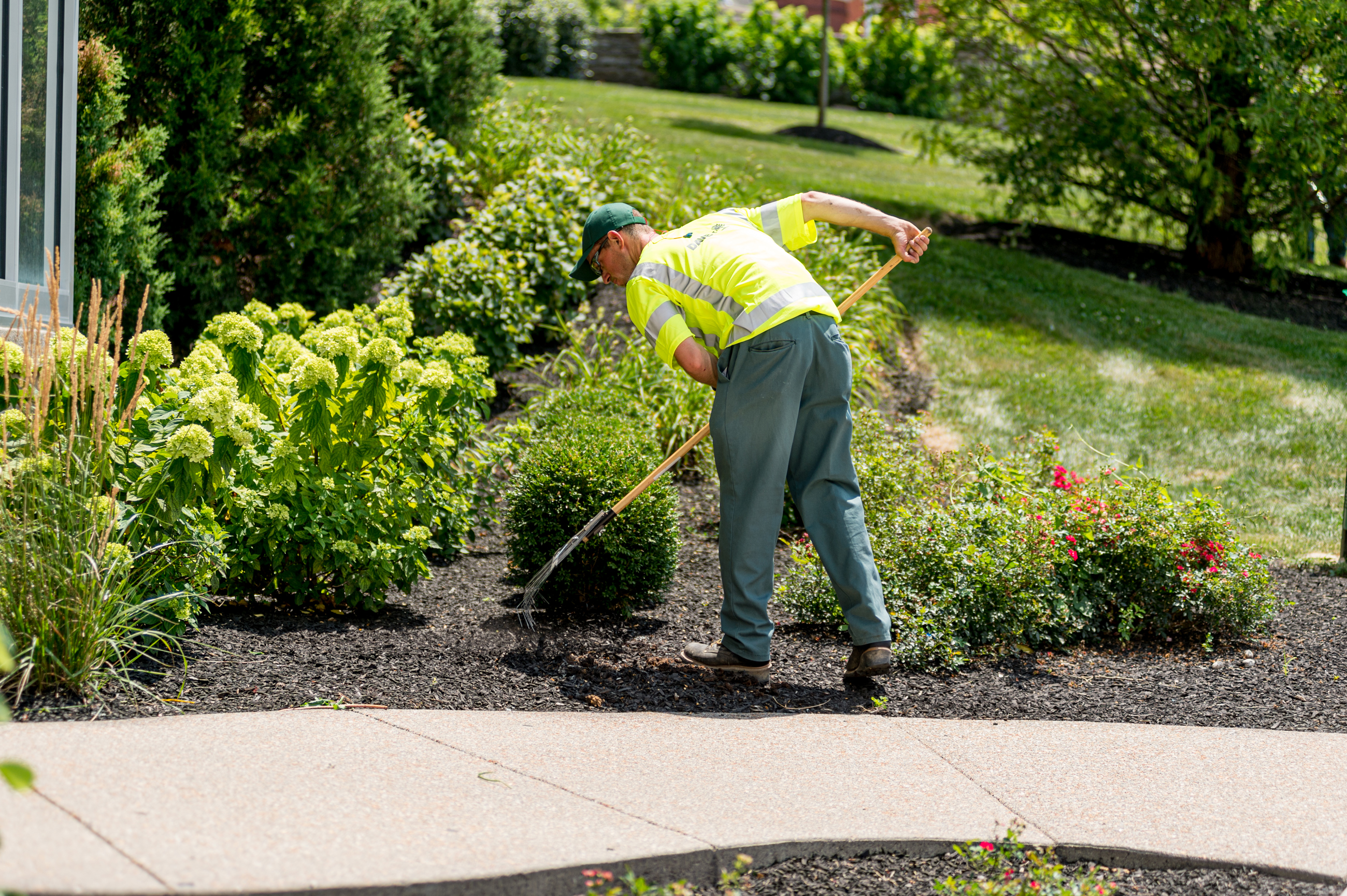 Rightplantrightplacealtrow