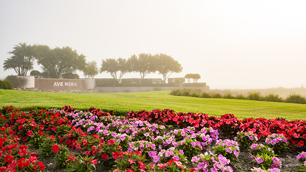 Ave Maria Sideimage 608X341