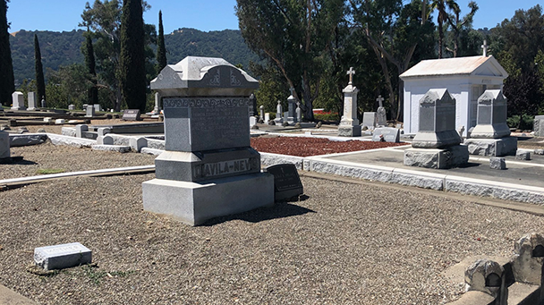 St Joseph Sideimage5 608X341