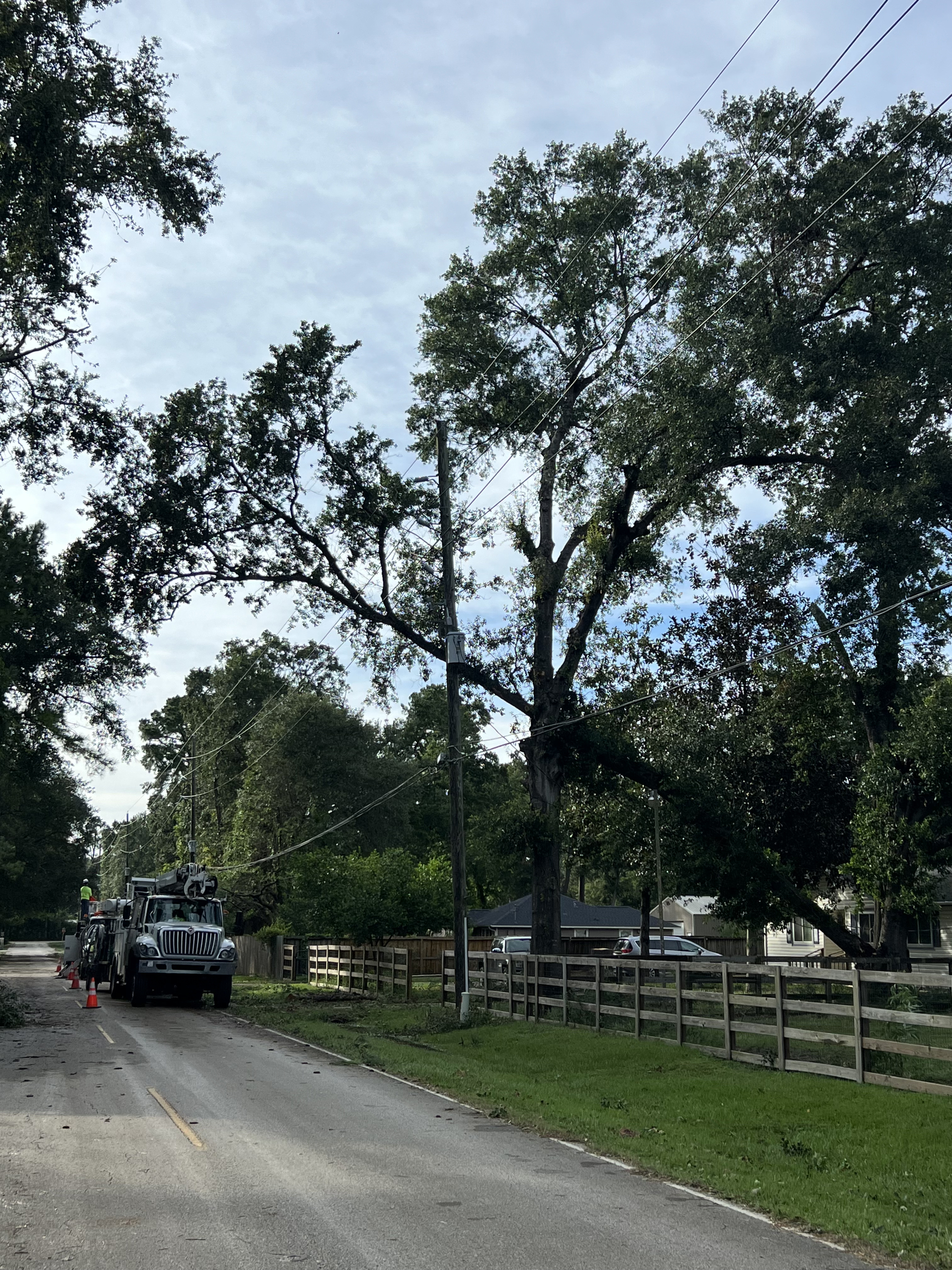 208C6C30 76B8 4C22 9280 58414A9B042D Copy