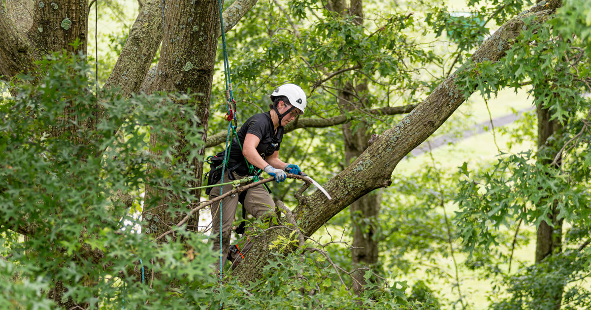 Skipper's Tree Service