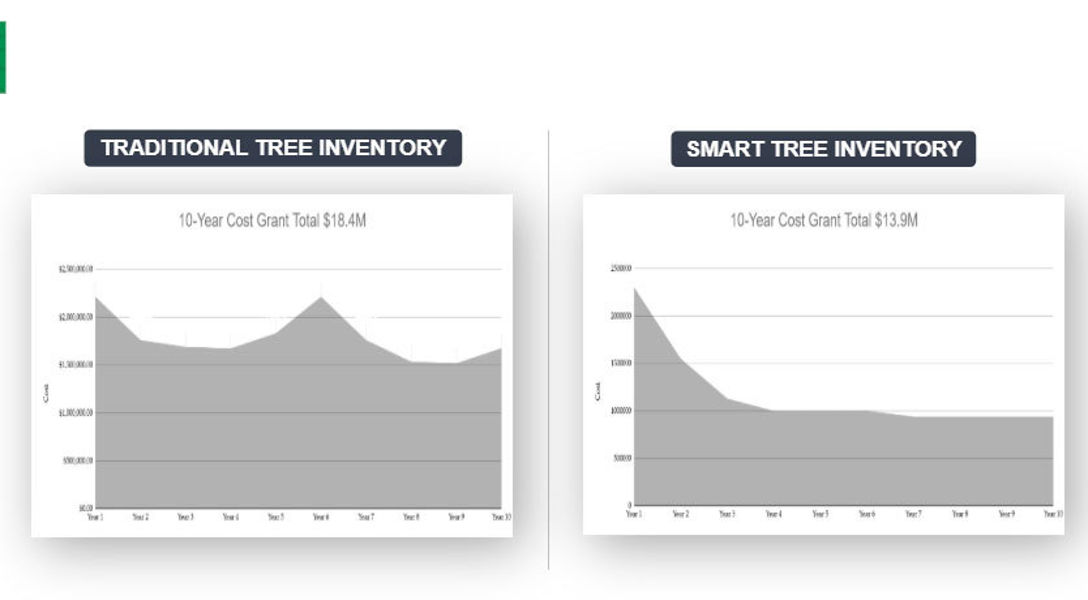 Tree Spending Save Money with Smart Tree Management | Davey Tree