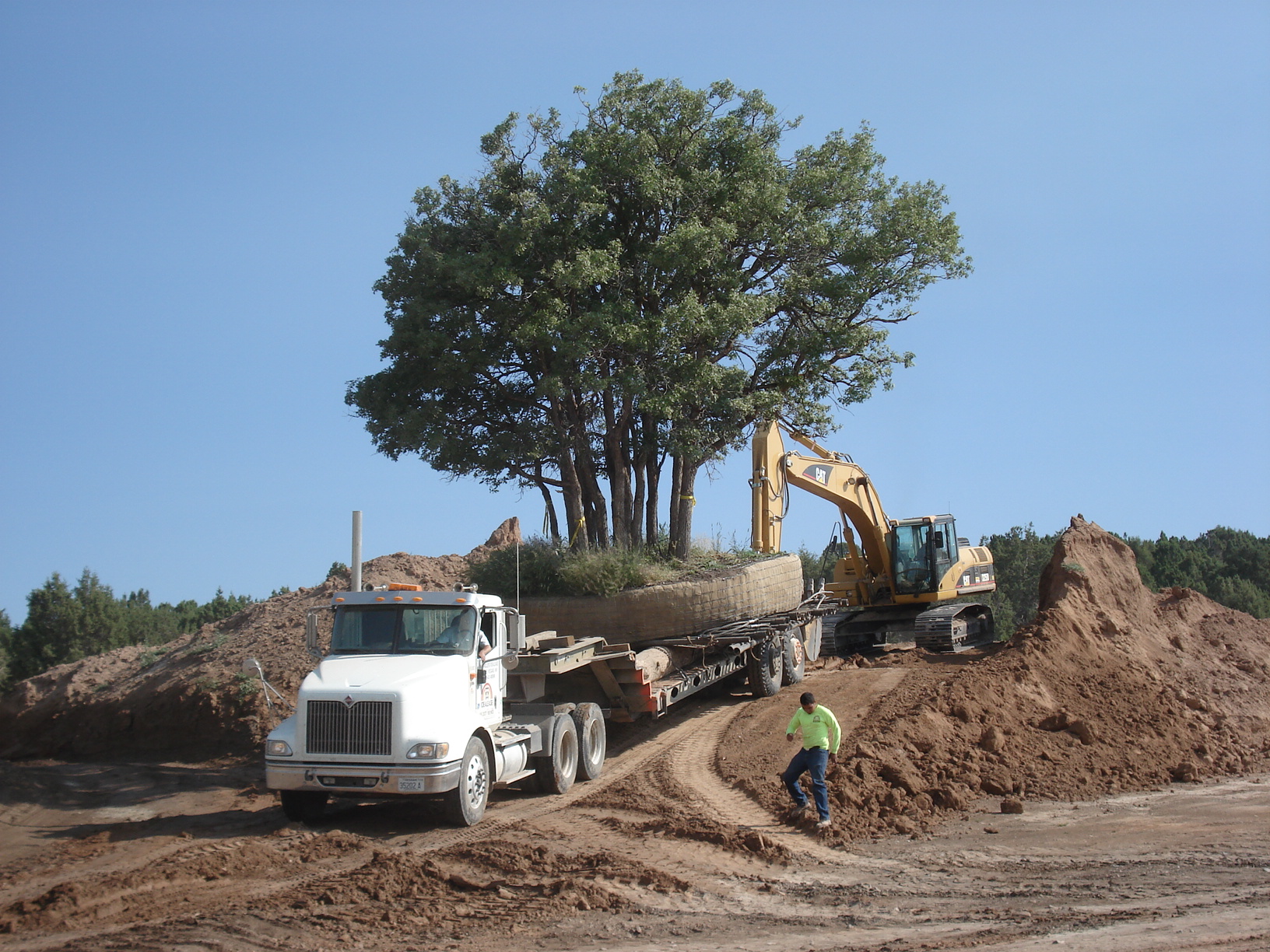 Large Tree Moving Red Ledges Golf Course