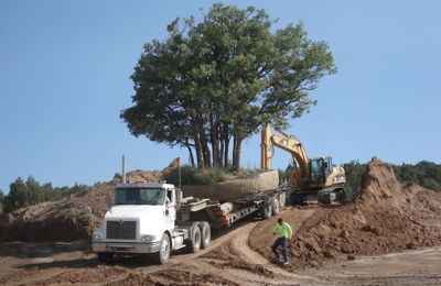 Large Tree Moving Red Ledges Golf Course