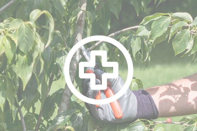 Physical Damage Alt 640X426