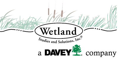 WSSI