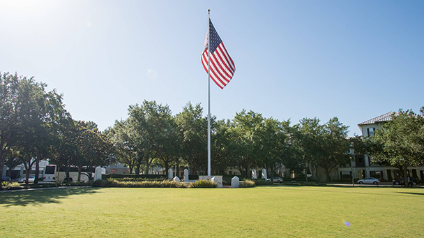 Celebration Sideimage 608X341