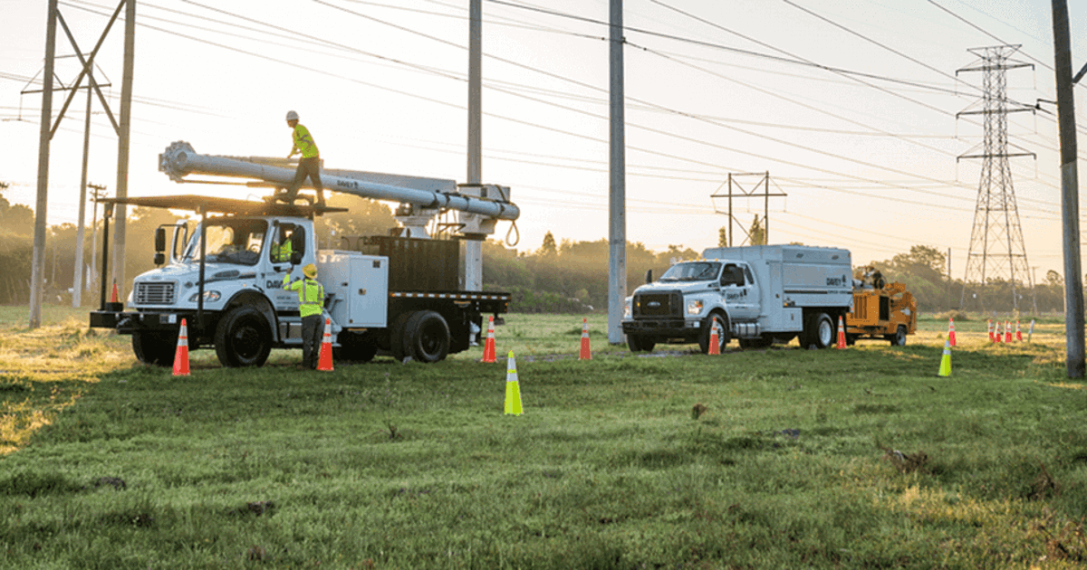 DUS_Bear Valley Electric Service_VM_0421 Davey Tree