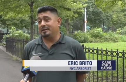 Brito