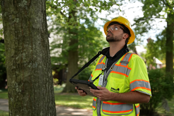 Smart Tree Inventory Residential Street