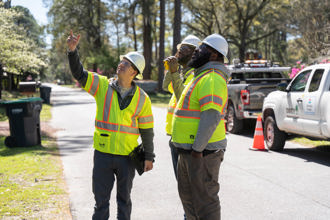 Arborists observe a worksite