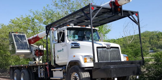 Microsoftteams Image (4).Png