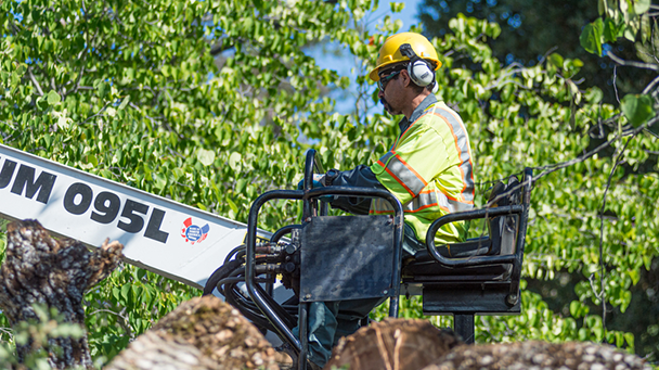 Dsc 6313Png Side Image