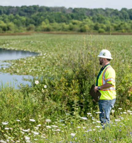 Mitigation Wetlands