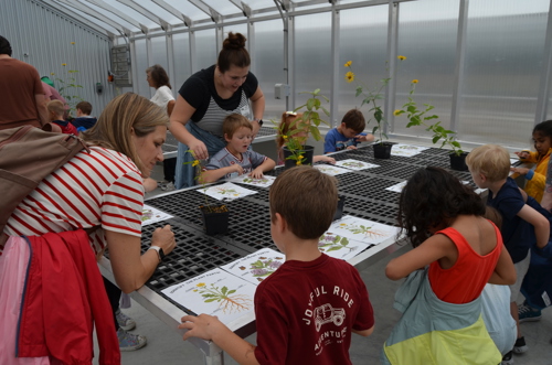 Kindergarten students gather around a greenhouse table analyzing plants on paper