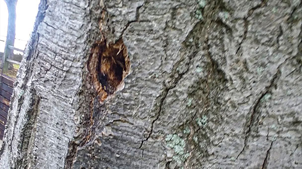 Project Profiles Van Buren Sideimage4 608X341