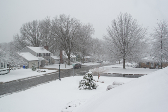 A roof-top view of a snowy neighborhood and trees.