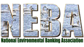 Neba Logo Dark