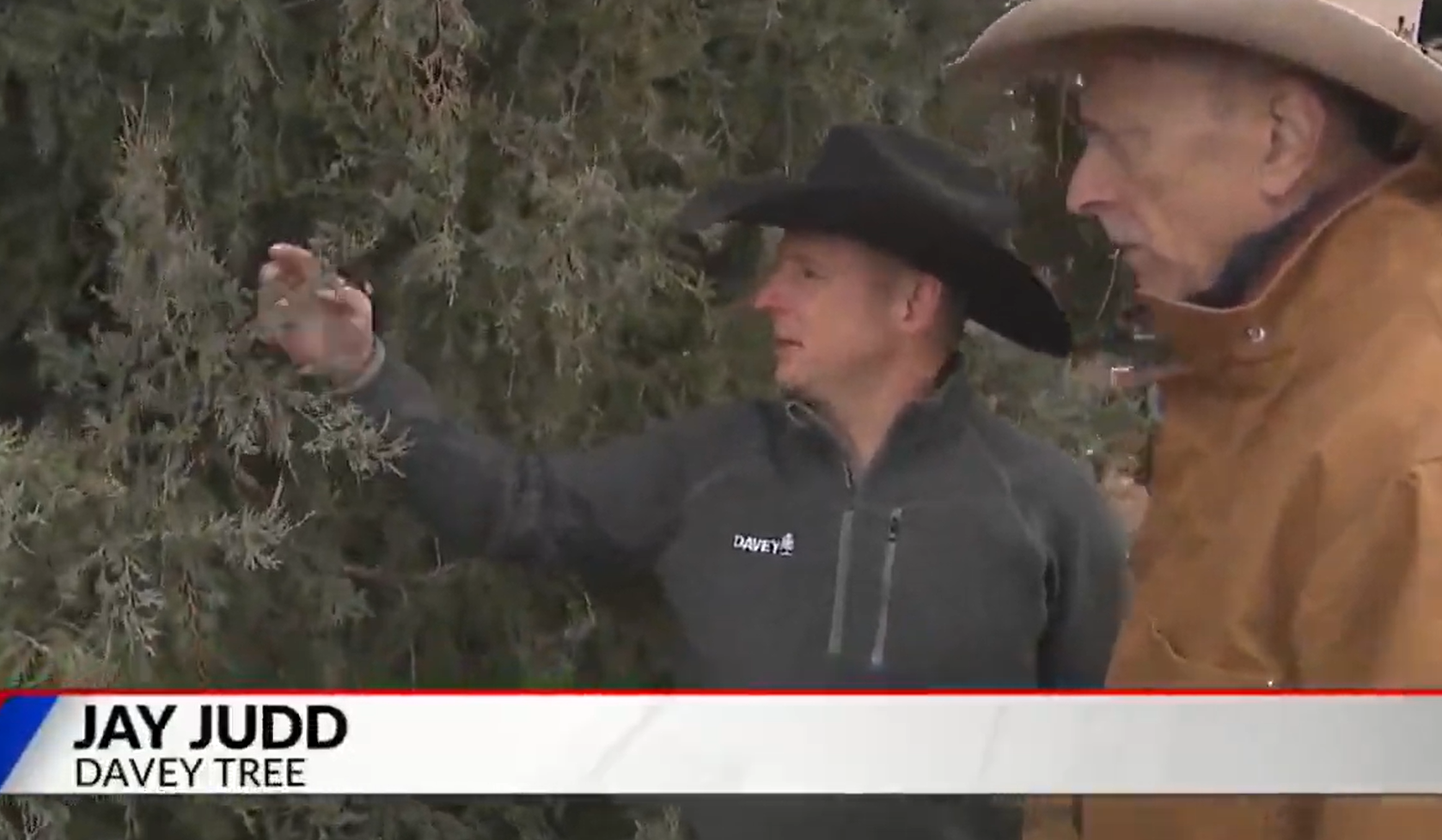 Screenshot 2025 12 30 101030