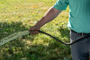 Arborist using a watering hose