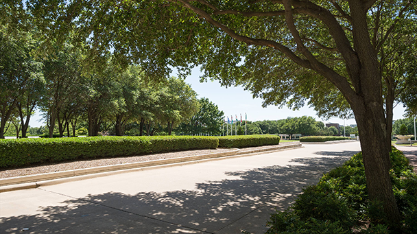 Hewlett Packard Sideimage2 608X341