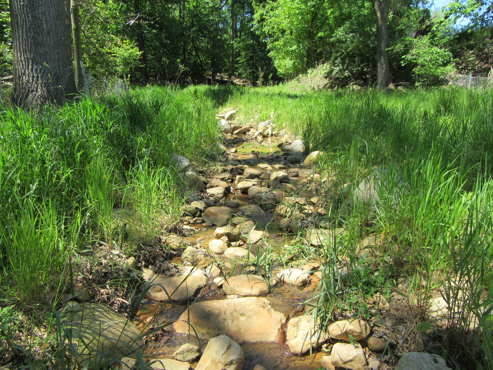 Arlington National Cemetery