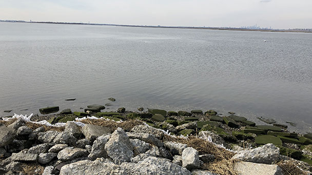 Project Profile Queens Ny Sw Eder 0722 Sideimage 608X341