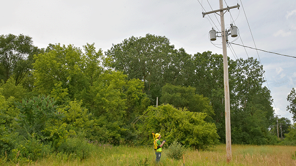 Vm Sideimage Stock2608x341