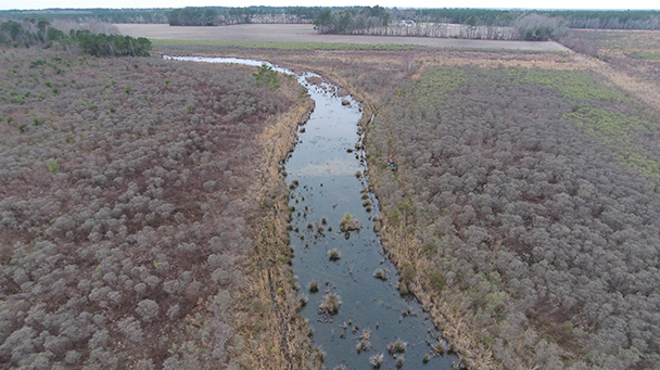 Rutman Project Profile Sideimage2 608X341